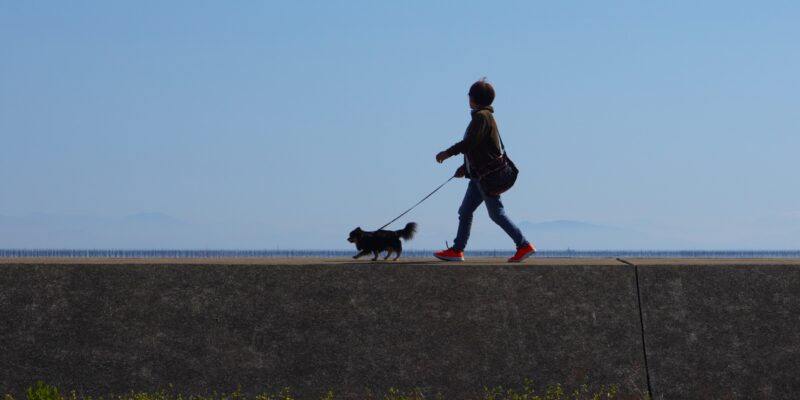犬が飼い主への10の願いを込めた言葉