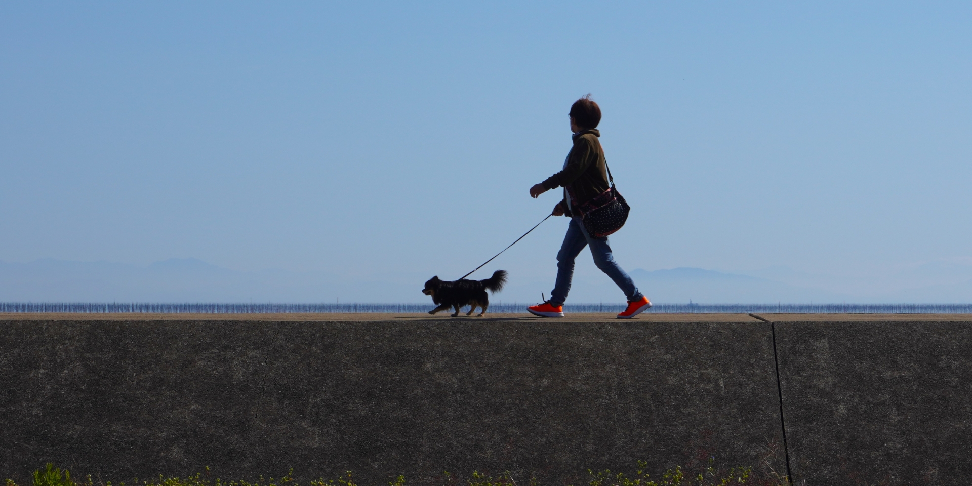 犬が飼い主への10の願いを込めた言葉