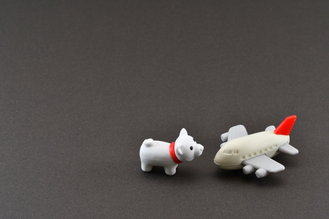 飛行機と犬