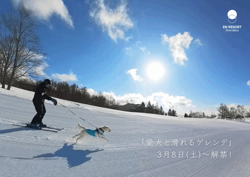 グランデコスノーリゾート