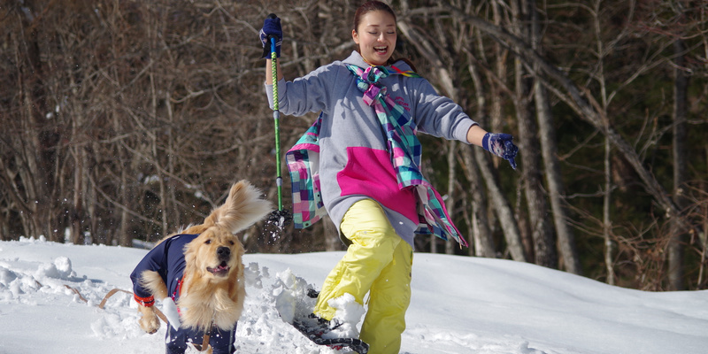 あそんちゅスタイルで遊ぶ飼い主と犬