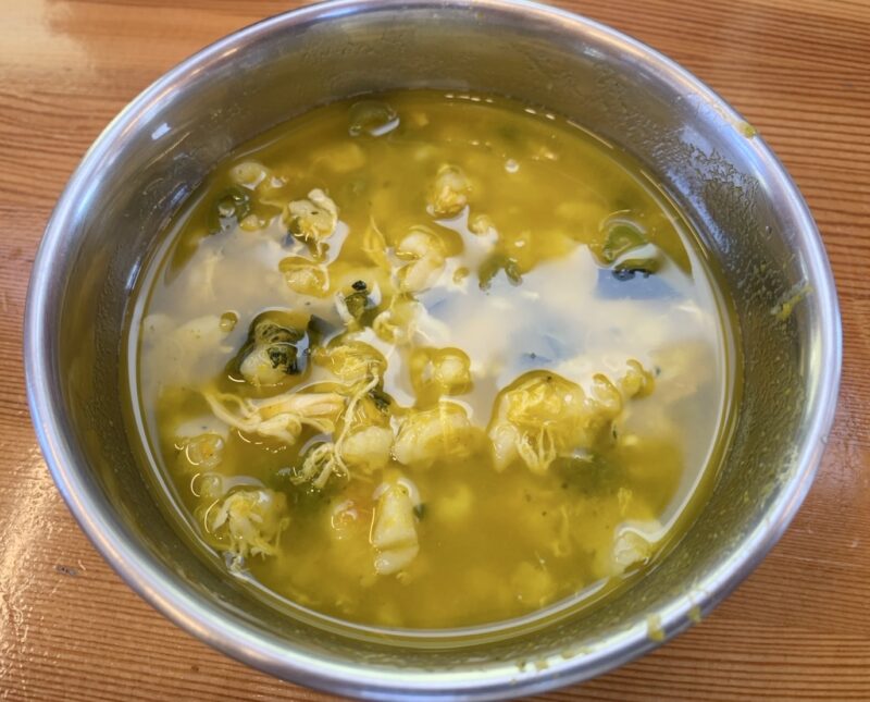 犬連れで入店できる「ほうとう研究所」で提供された犬用ほうとう